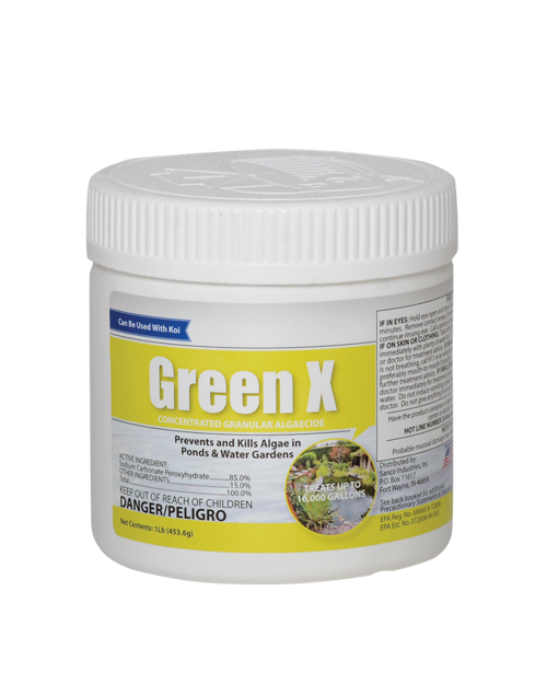 Picture of Green X
