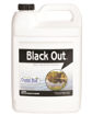 Picture of Black Out