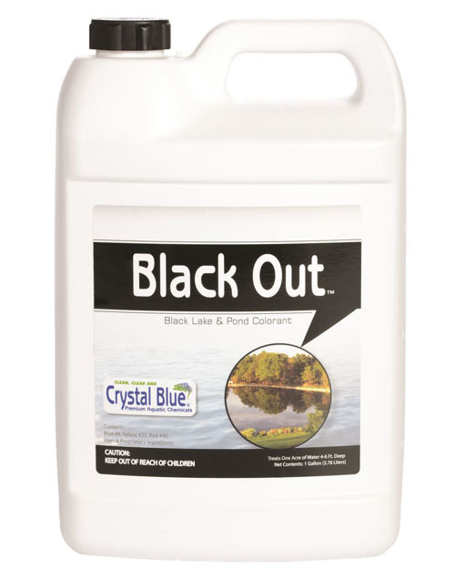 Picture of Black Out