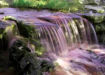 Picture of Trickled Pink