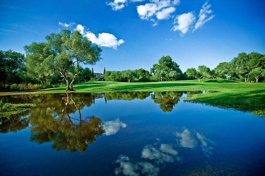 Picture for category Pond Dye