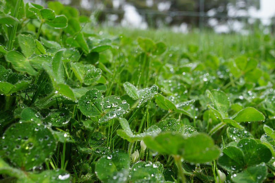 Picture for category Surfactant