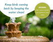 Picture of Birdbath Maintenance