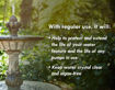 Picture of Decorative Fountain Algae Control