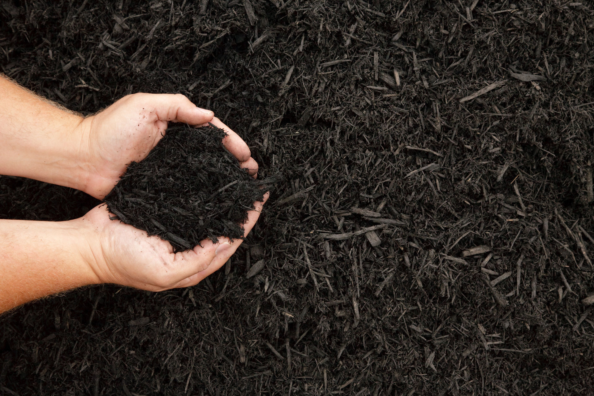 Picture for category Mulch Care