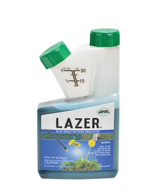 Picture of Lazer Blue