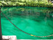 Picture of Emerald Green Water Dye