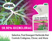 Picture of Pro Crabgrass & Grassy Weed Killer