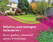 Picture of Pro Crabgrass & Grassy Weed Killer