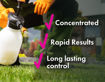 Picture of Pro Crabgrass & Grassy Weed Killer