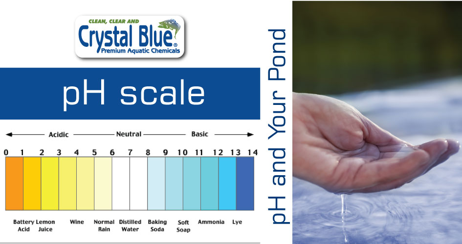 Pond Ph Algae Growth Sanco Industries