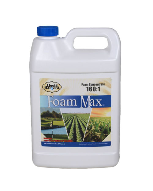 Picture of Foam Max