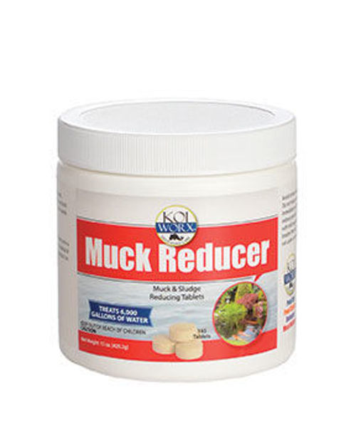 Picture of Koi Worx Muck Reducer
