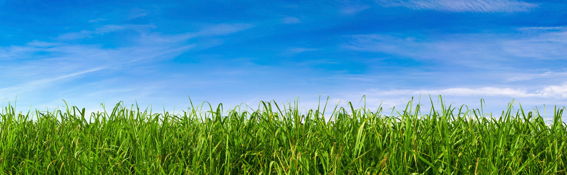 Picture for category Spray Solutions