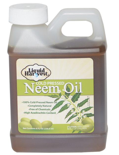 Picture of Neem Oil