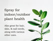 Picture of Neem Oil