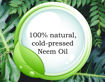 Picture of Neem Oil