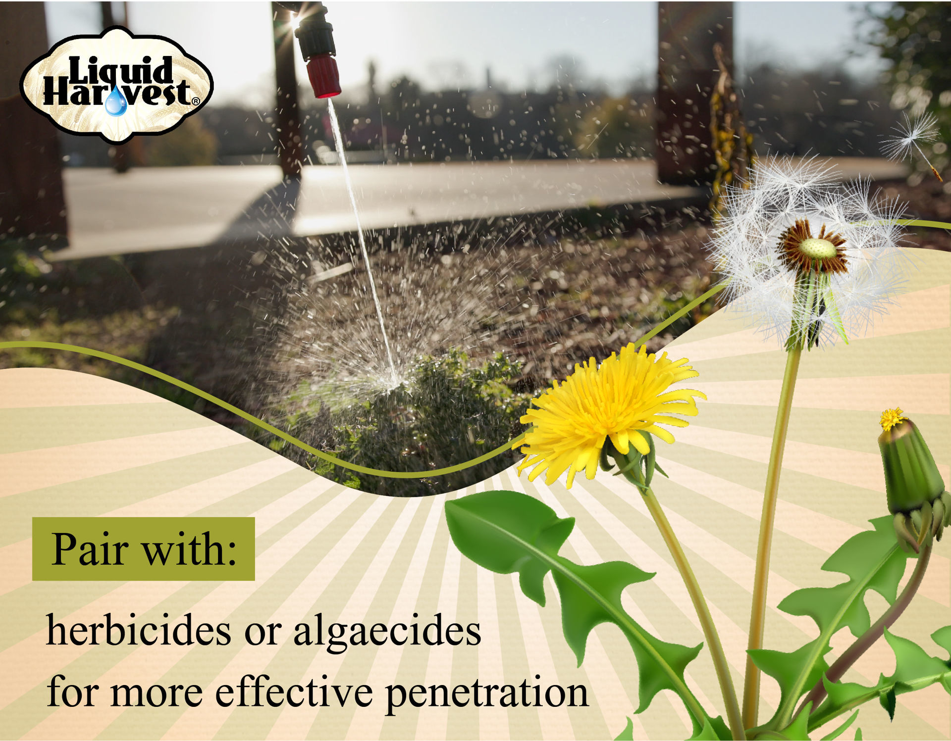 Liquid Harvest Surfactant Sanco Industries Sanco Industries