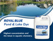 Picture of Crystal Blue Pond Dye