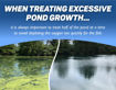 Image of pond with black pond dye demonstrating mirror effect