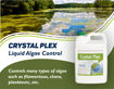 Picture of Crystal Plex