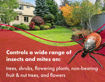 Picture of Pro Indoor & Outdoor Insect Control