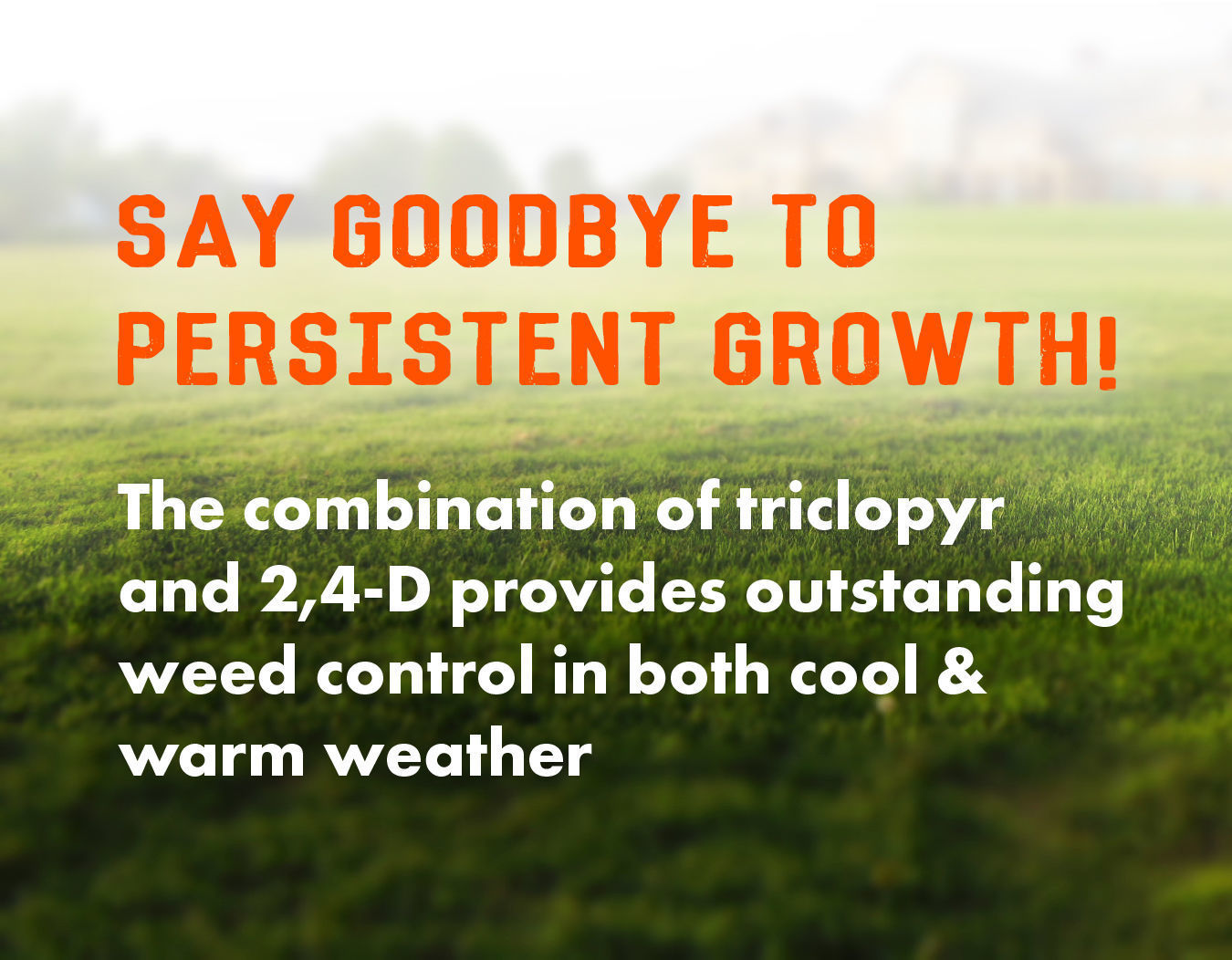 Pro Brush & Poison Ivy Killer Sanco Industries