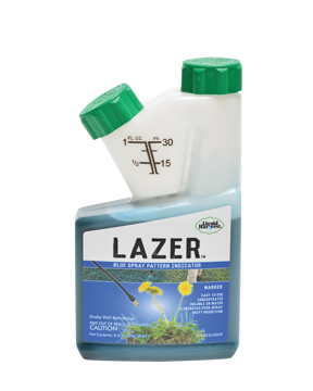 Show details for Lazer Blue Picture of Lazer Blue