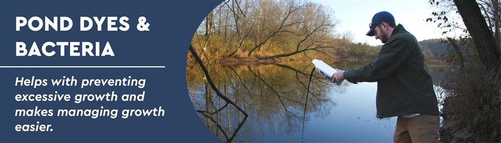Pond dyes and bacteria