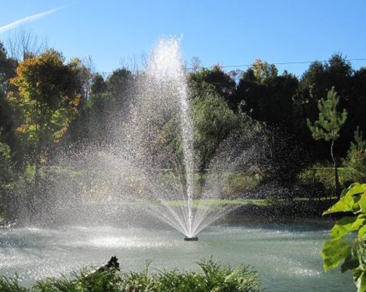 Water Fountain spraying water